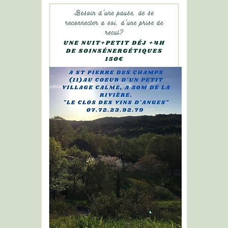 Chambre D'Hote Au Jardin Le Clos Des Vins D'Anges Saint-Pierre-des-Champs エクステリア 写真