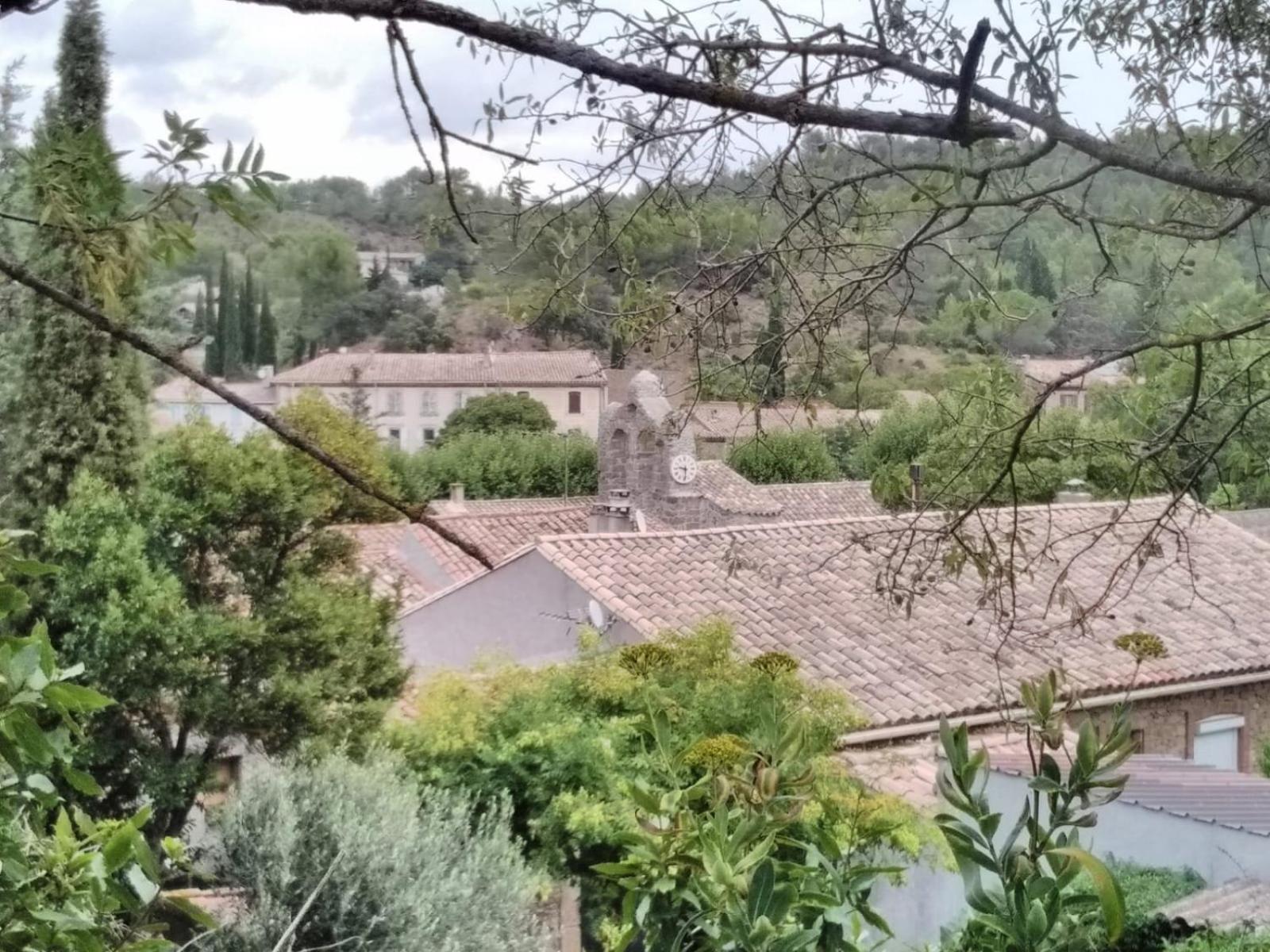 Chambre D'Hote Au Jardin Le Clos Des Vins D'Anges Saint-Pierre-des-Champs 部屋 写真